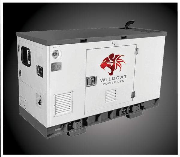 Wildcat 10kW Freedom Diesel Generator