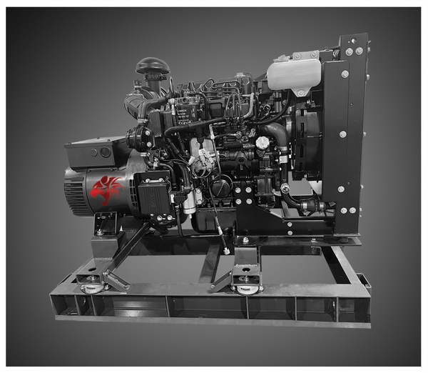 Wildcat 10kW Frontier Diesel Generator